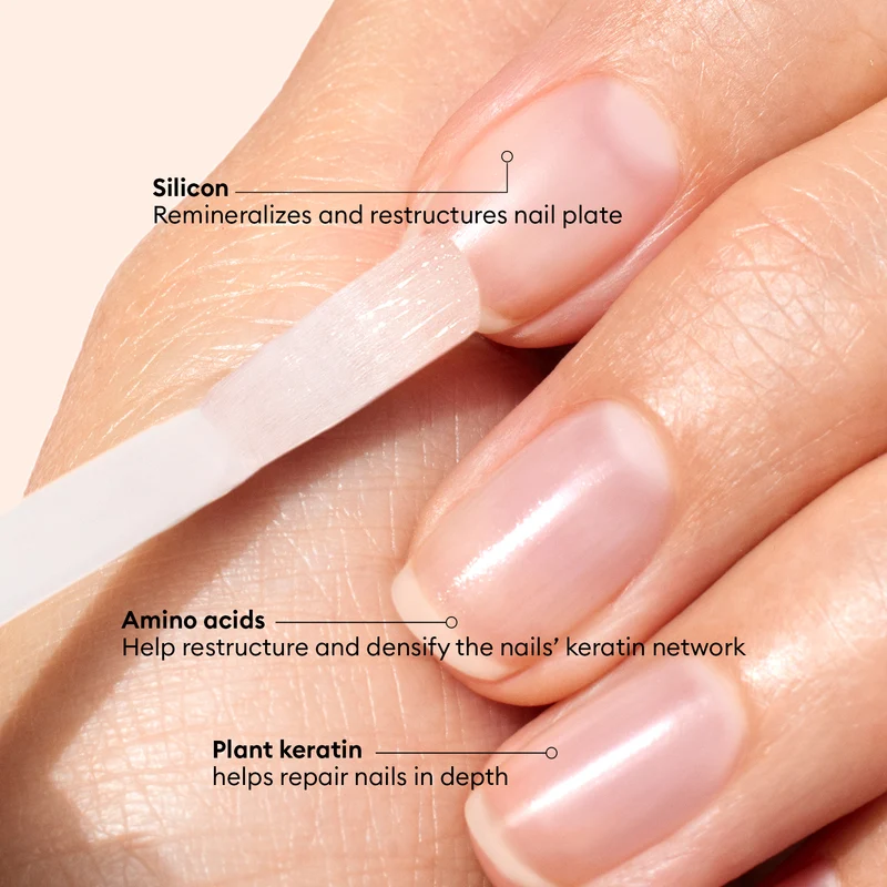 Vernis Amer