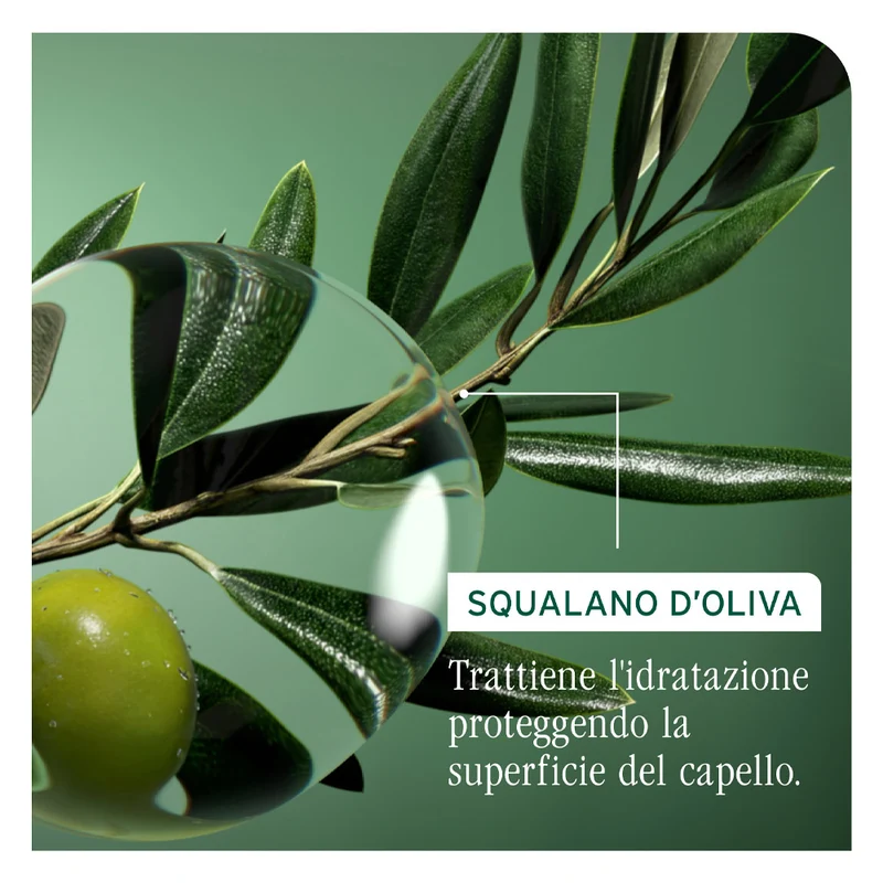 Biolage Professional Hair Spa Strenght Recovery Shampoo 400ml - shampoo ristrutturante capelli danneggiati