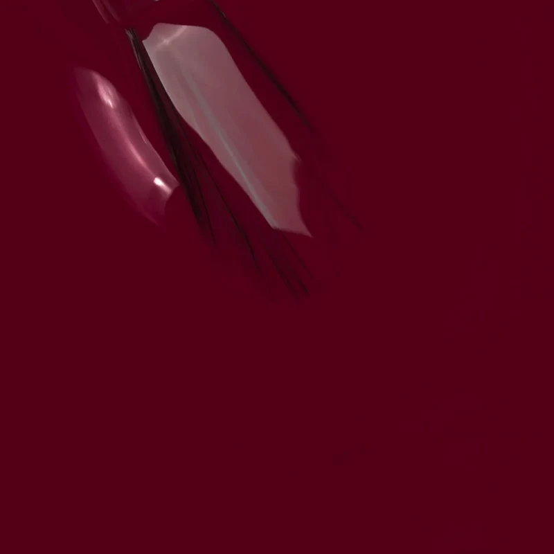 My Nail Pro Shine N' Wear 202 Bordeaux 10ml - smalto classico