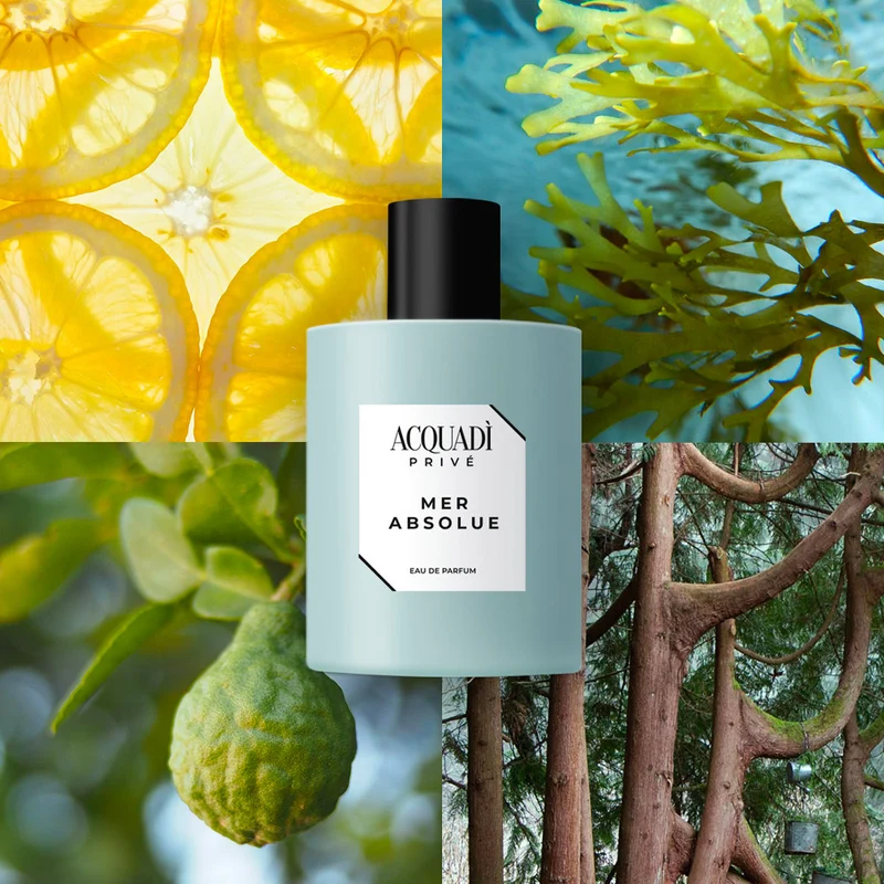 Acquadì Privè Mer Absolue Eau De Parfum 100ml - profumo
