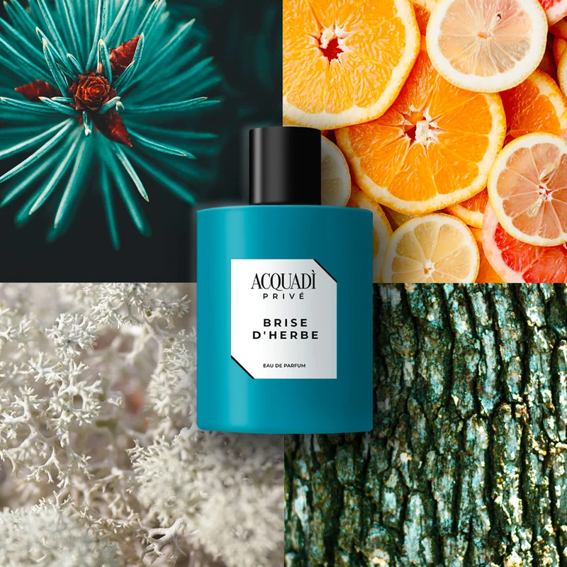 Acquadì Privè Brise D'Herbe Eau De Parfum 100ml - profumo