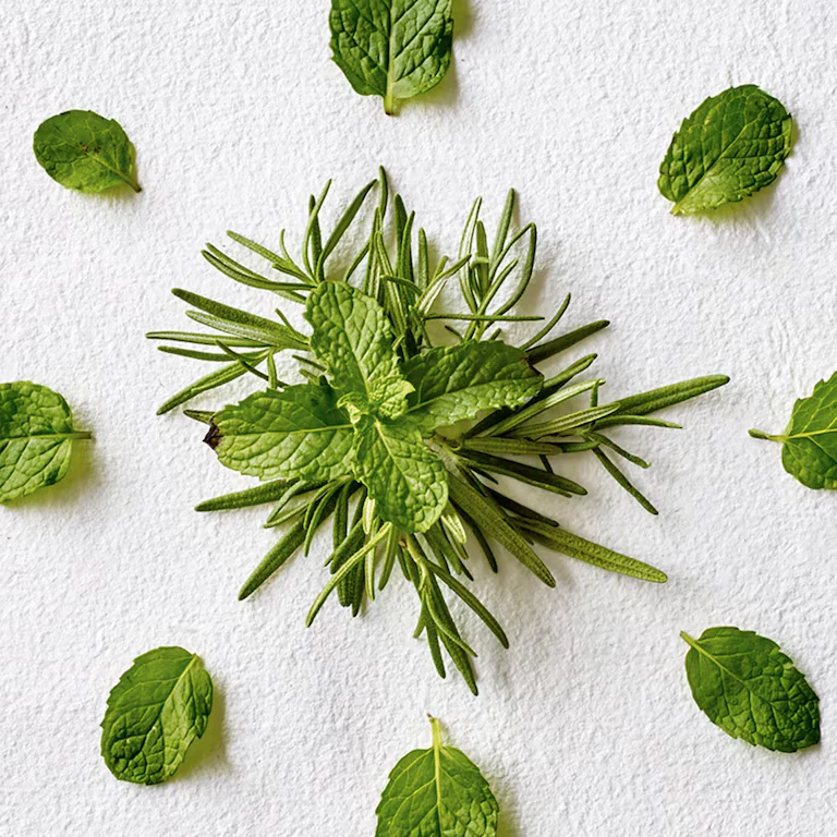 AVEDA rosemary mint - Shampoo purificante
