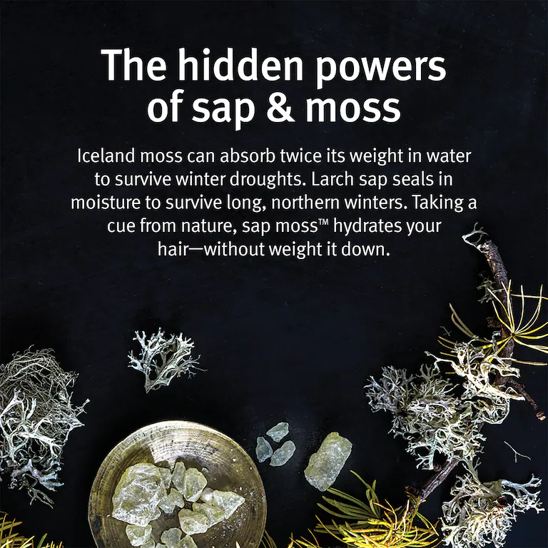 AVEDA sap moss - Shampoo idratazione leggera
