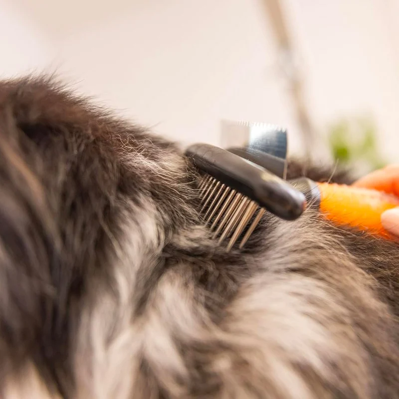 Wahl Pro Pet Double Row Rake - pettine a rastrello