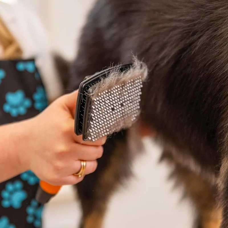 Wahl Pro Pet Large Self-Clean Nylon Slicker Brush - spazzola self clean con setole in nylon grande