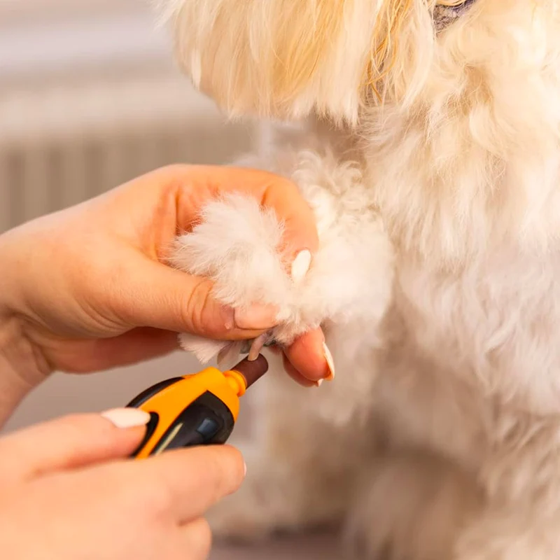 Wahl Pro Pet Cordless Nail Grinder - lima per unghie senza fili