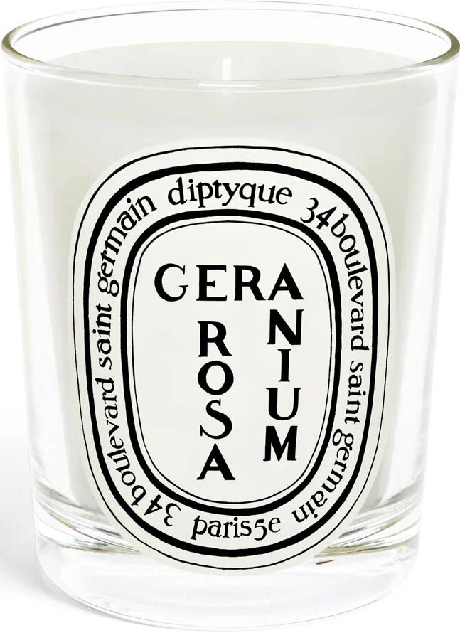 Geranium Rosa Candela