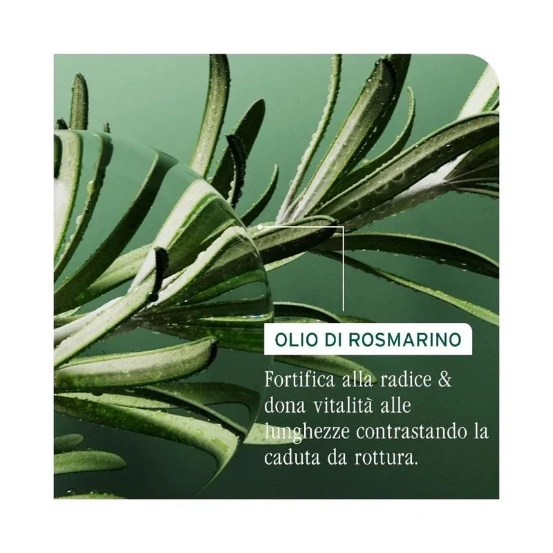Biolage Full Rescue Conditioner capelli fragili 236ml