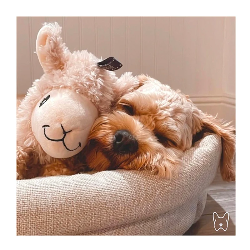 Agave Pet BestFriendForever Peluche Gioco Alpaca 33cm