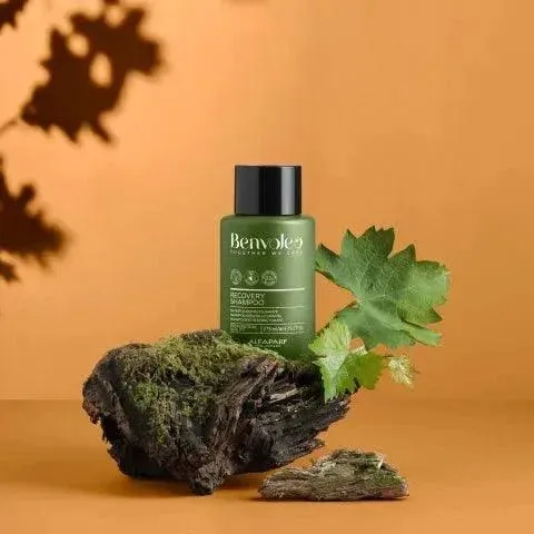 Alfaparf Benvoleo Recovery Shampoo capelli danneggiati