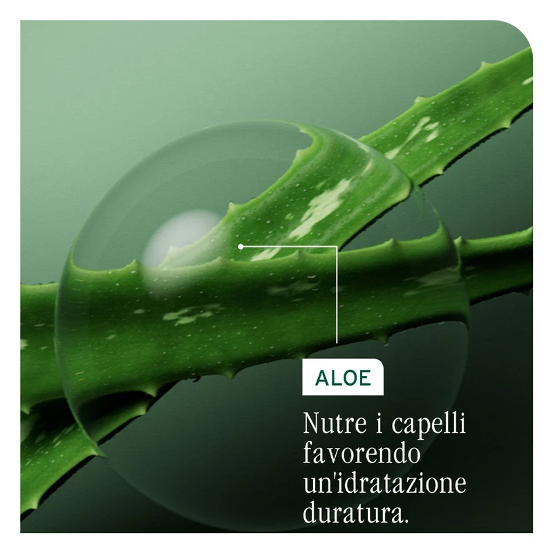 Biolage Professional Hair Spa Hydra Source Shampoo 400ml - shampoo idratante capelli secchi