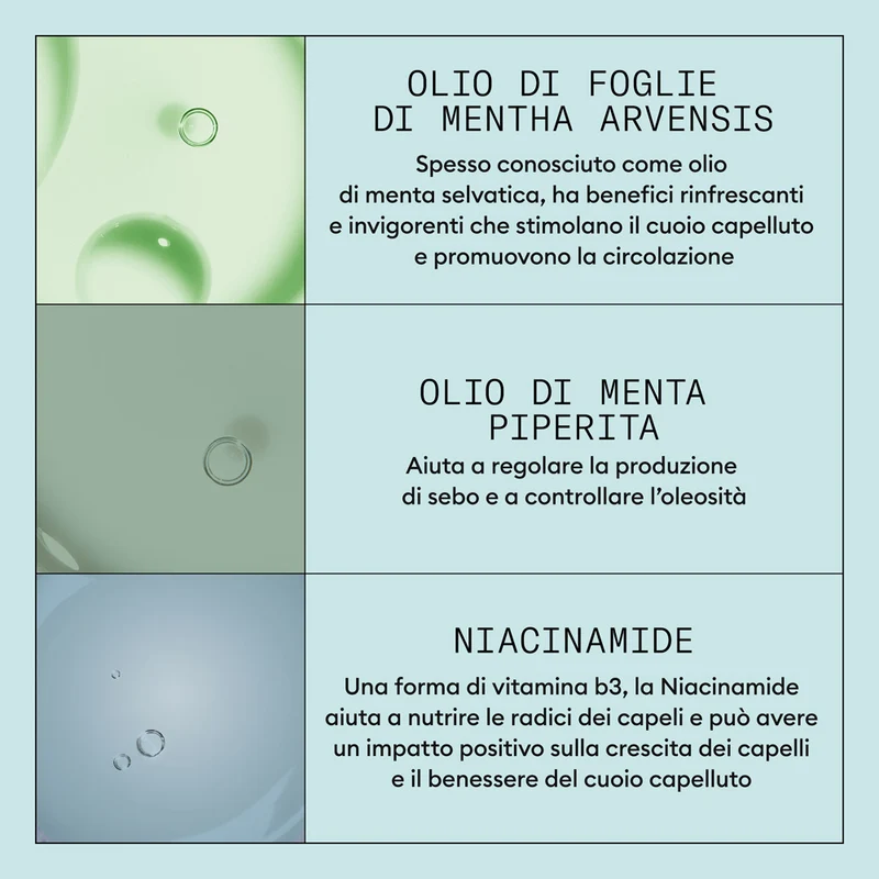 Nioxin Scalp Recovery Kit Trifasico Shampoo 200ml Conditioner 200ml Serum 100ml - kit antiforfora