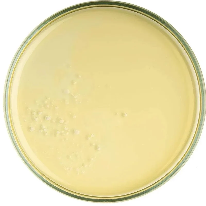 Olos Olio Seta Viso Corpo e Capelli 100ml