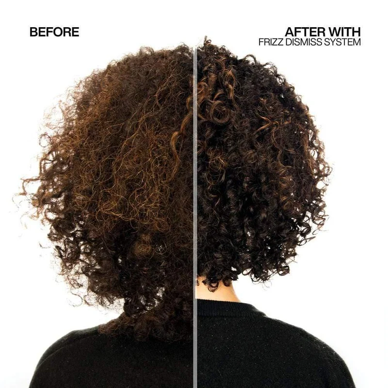 Redken Frizz Dismiss Rebel Tame crema protettiva 250ml