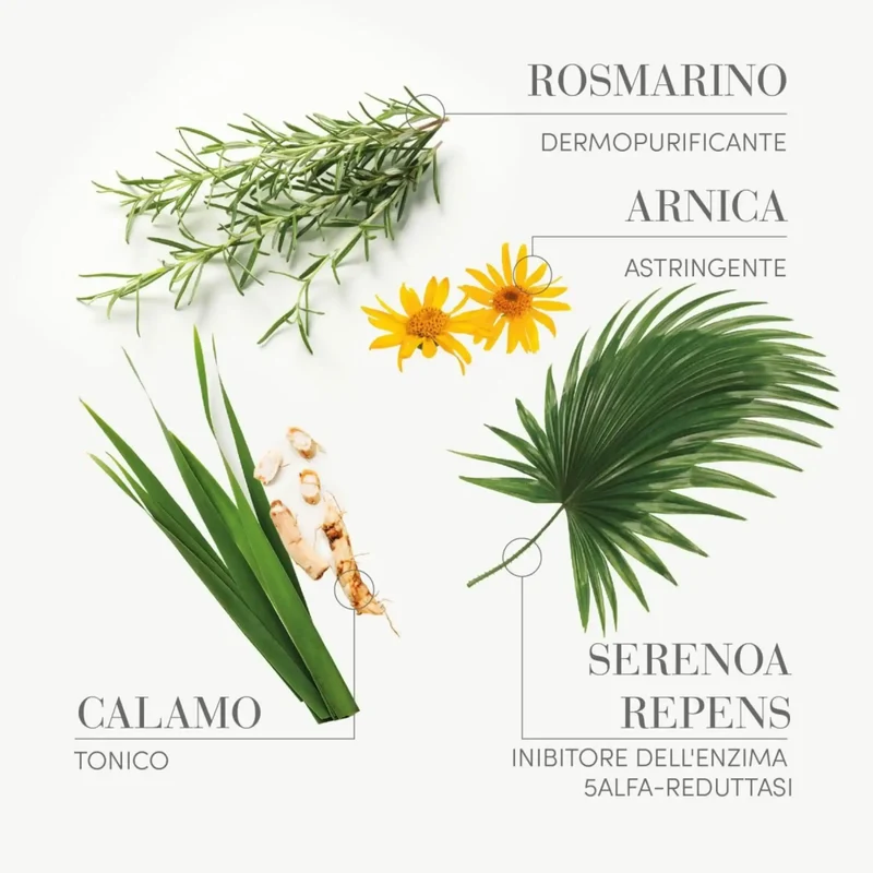 Medavita Trattamento Intensivo Anticaduta Uomo 13fl x 6ml - Fiale Anticaduta Uomo