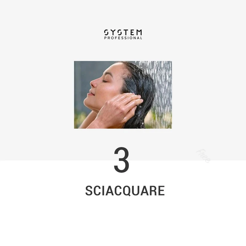 System Professional Basic Routine Per Capelli Danneggiati