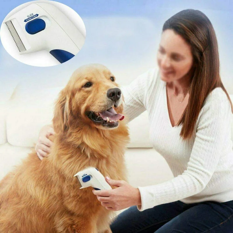 Pettine elettrico per la rimozione di pulce per animali domestici