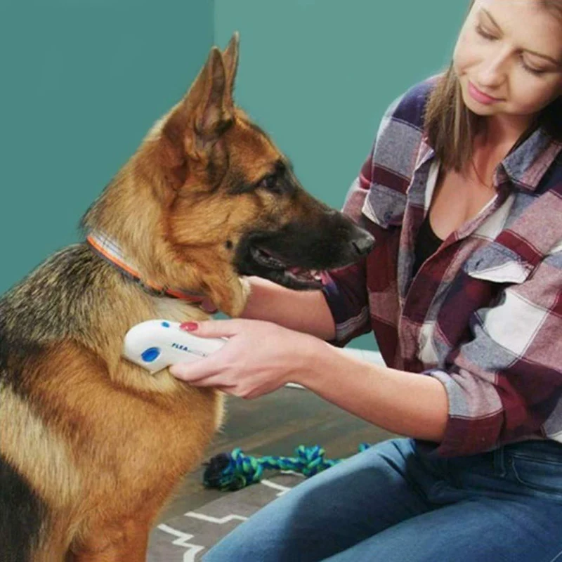 Pettine elettrico per la rimozione di pulce per animali domestici