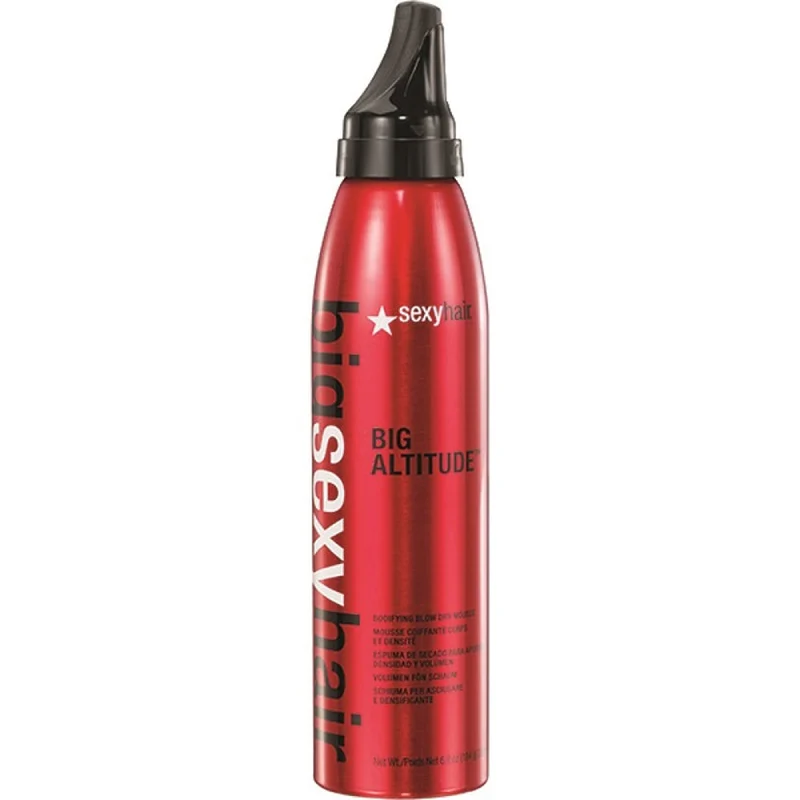 Big Altitude Bodifying Blow Dry Mousse 205mL