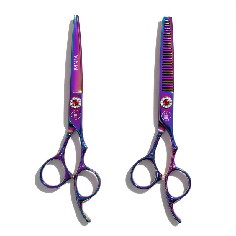 Mina Set di forbici Master Rainbow II
