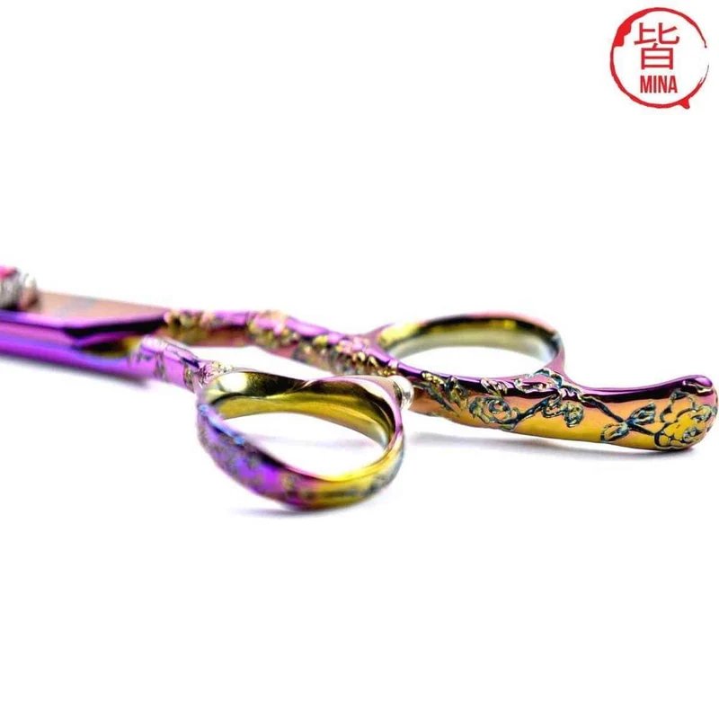 Set di forbici Mina Rainbow II Master