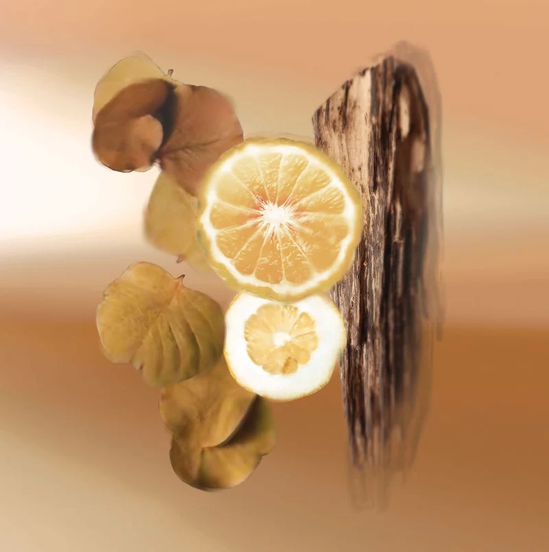 Endless Summer Eau de Parfum