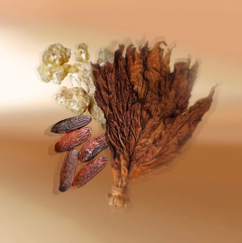 Oliban Eau de Parfum