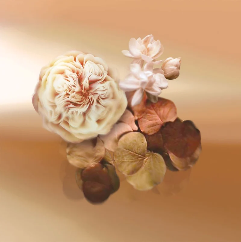 Patchoulissime Eau de Parfum