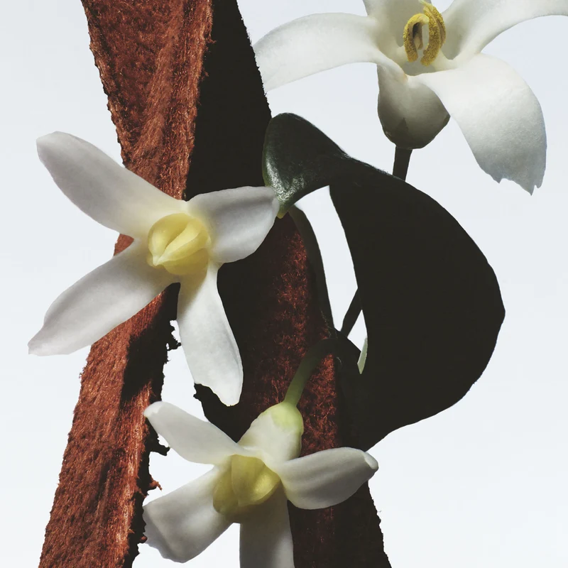 Fleur du Mal Eau de Parfum
