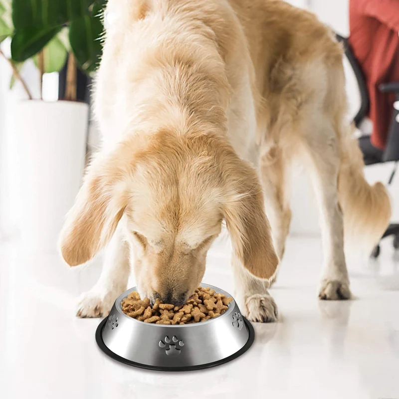 Set di 2 Ciotole per cani e gatti in acciaio inox con base in gomma antiscivolo per acqua e cibo