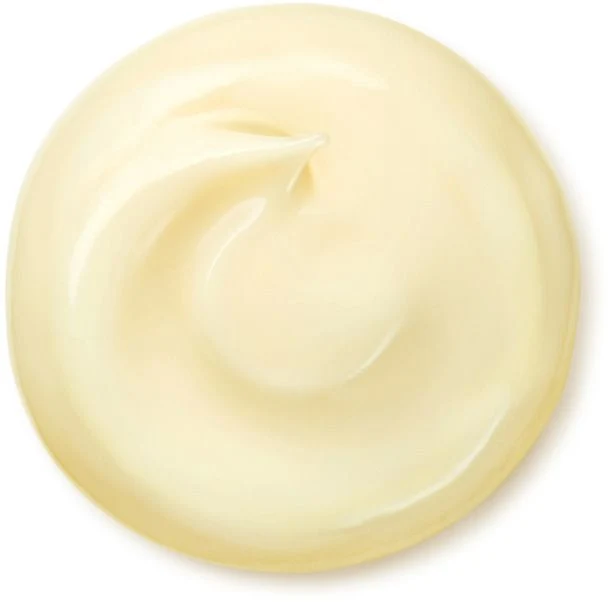 Wrinkle Smoothing Cream Enriched Crema Ricca e Vellutata Che Agisce