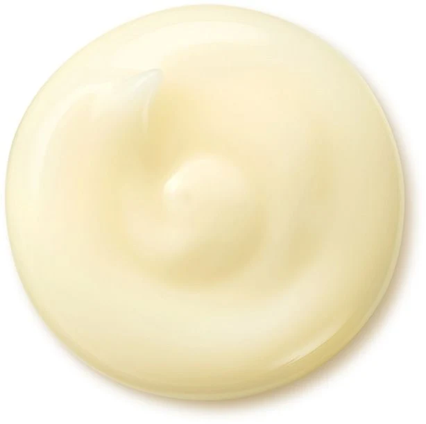 Wrinkle Smoothing Cream Crema Anti-Age Ricca e Vellutata