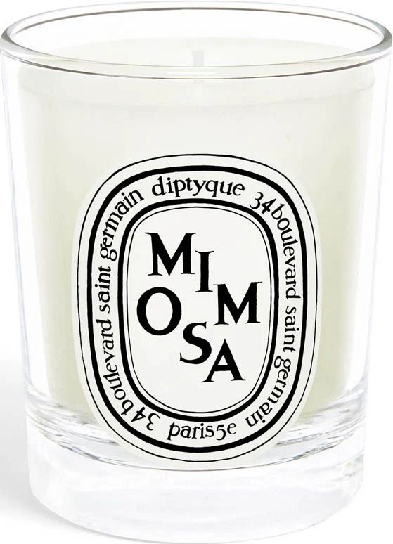 Mimosa Candela