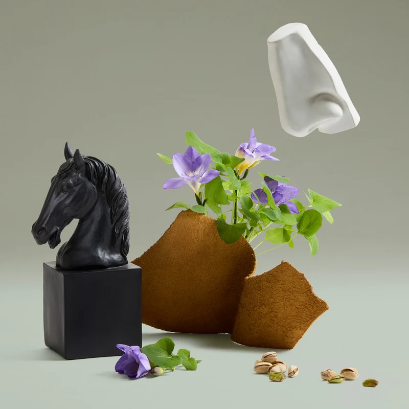 Fortuitous Finley Portraits Eau de Parfum