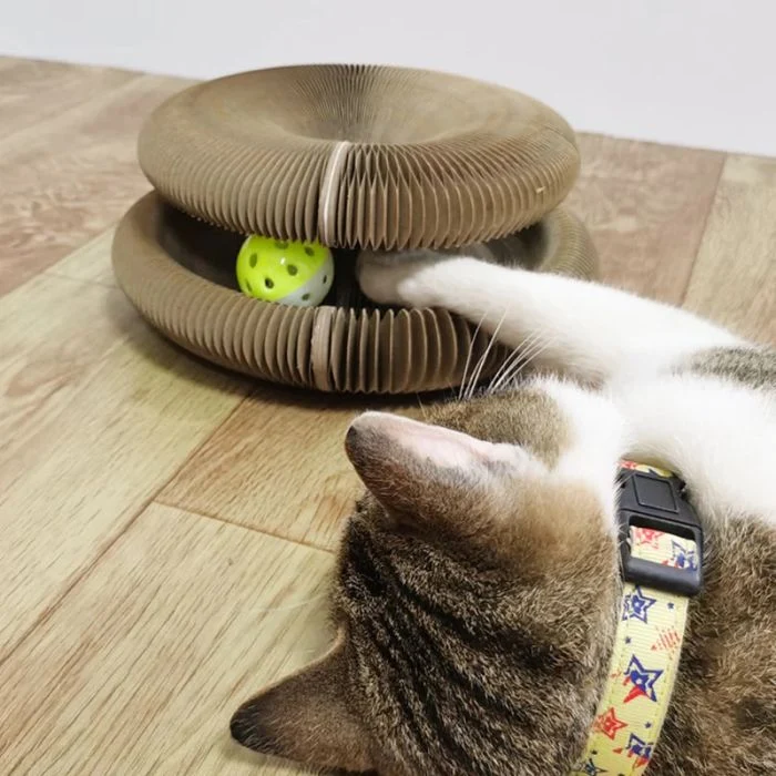 Nostresscat Micio Loop Tiragraffi Gioco Antistress Per Gatti