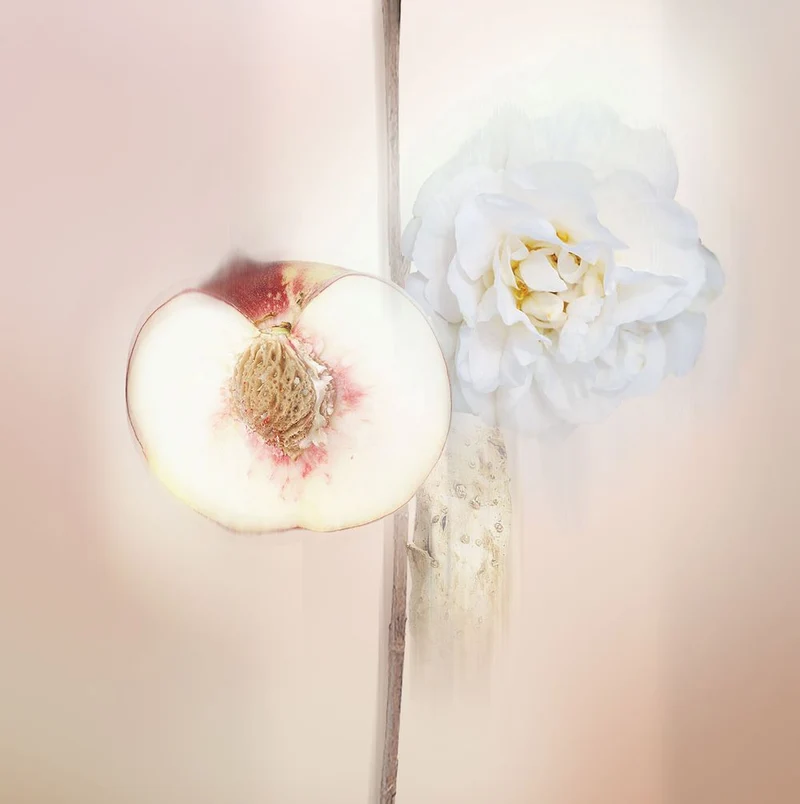 Peau de Pêche Eau de Parfum