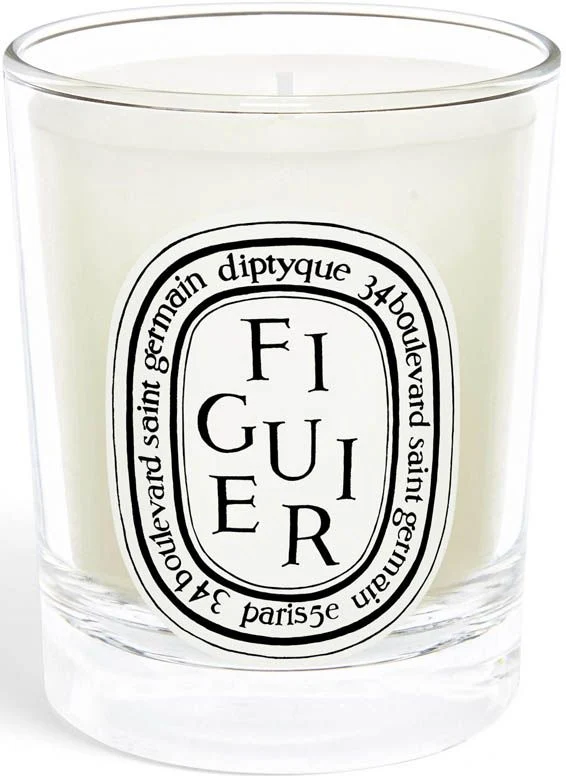 Figuier Bougie Candela