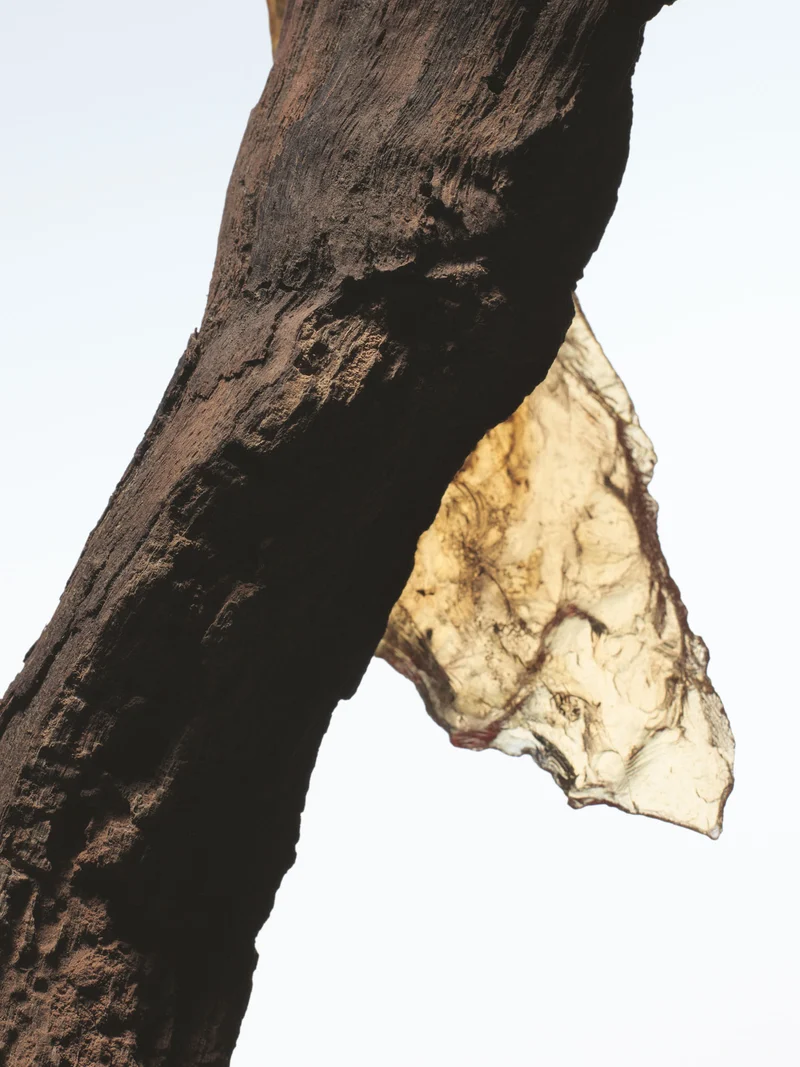 Rock the Myrrh Eau de Parfum